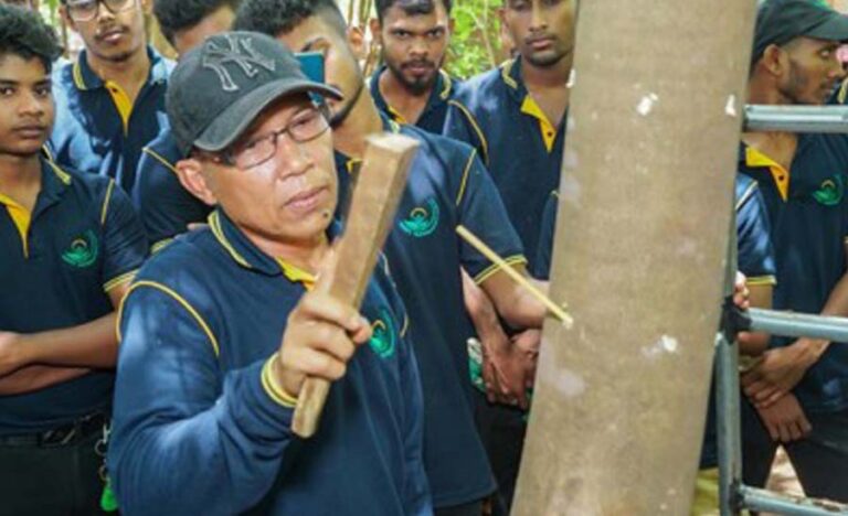 latest vaccine method of agarwood tree vaccination